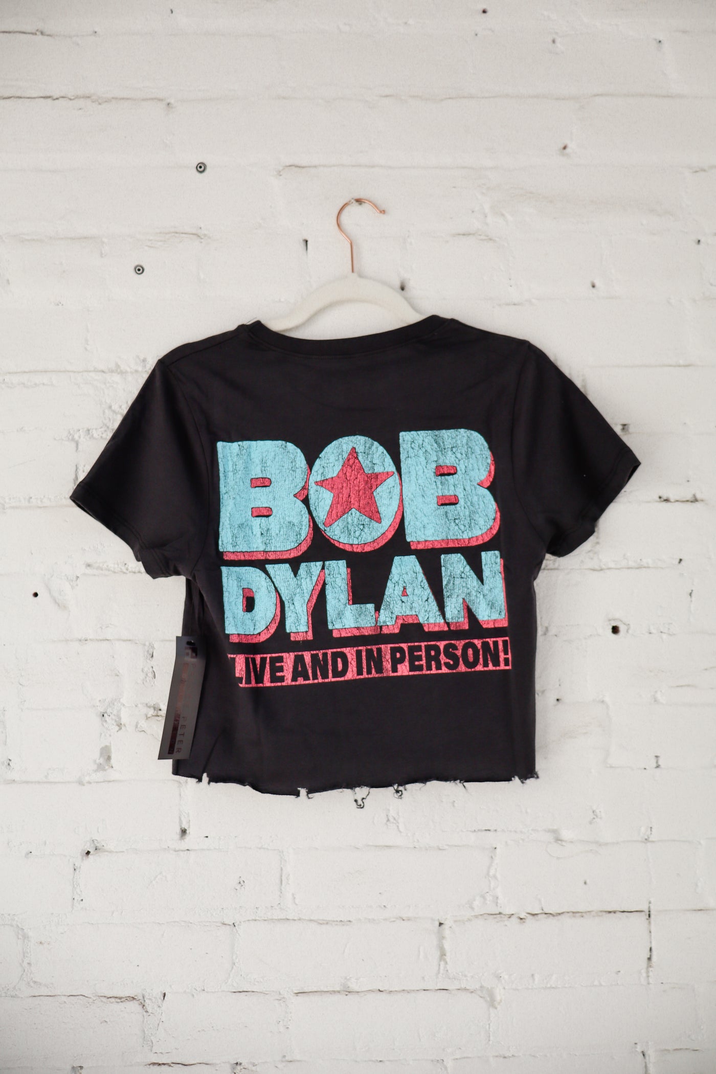 Bob Dylan Forest Hills Crop